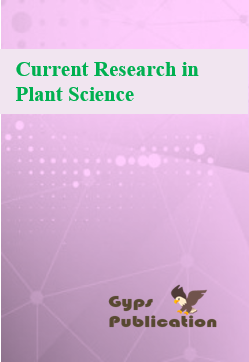 Journal Poster